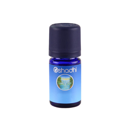 Cassis, abs. 70% (in bio alcohol) - 5ml