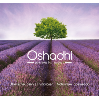 Oshadhi_lavendel