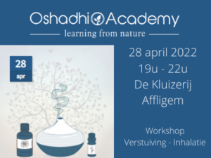 Workshop VERSTUIVING - INHALATIE op 28 april 2022