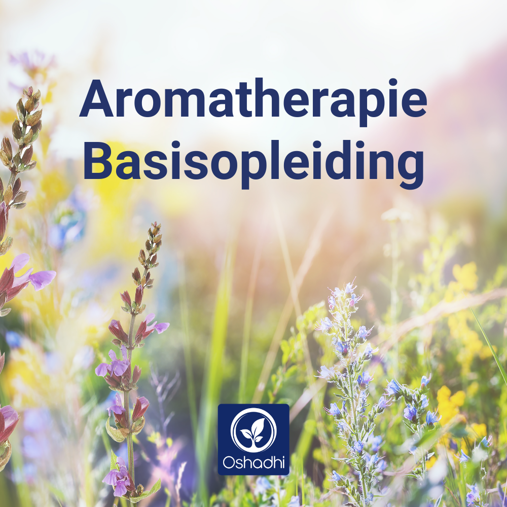 Oshadhi Aromatherapie basisopleiding
